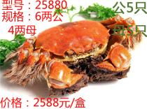 蘇州食品飲料產(chǎn)業(yè)全解析 價(jià)格、圖片、批發(fā)、廠(chǎng)家與餐飲管理